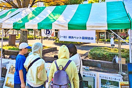 ưʪ����ե������褳�Ϥ�